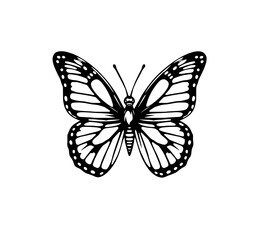 Black and white monarch butterfly illustration. Pen and ink drawing of an insect with detailed wings, spots, and antennae. Monochrome nature design element on a white background. Vector graphic.