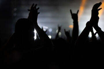crowd having fun at concert summer music festival