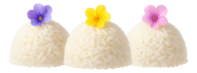 Clear cellophane bag of candied hazelnuts, showcasing their shiny, sugar-coated surface and rich brown tone