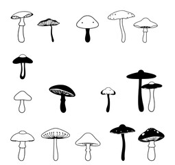 Hand-drawn mushroom collection. Black and white illustration set featuring various mushroom shapes, spots, and stems. Doodle style drawings, pen or marker strokes on white. Design elements for nature,