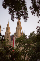Obraz premium Vienna Rathaus City Hall Framed by Tree Branches at Twilight