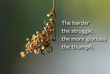 Life struggle quotes - The harder the struggle, the more glorious the triumph.