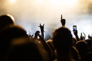 crowd having fun at concert summer music festival