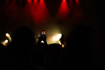 crowd having fun at concert summer music festival
