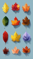 Fototapeta premium Colorful autumn leaves arranged on a light blue background highlighting seasonal beauty and nature's artwork