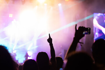 Obraz premium crowd having fun at concert summer music festival