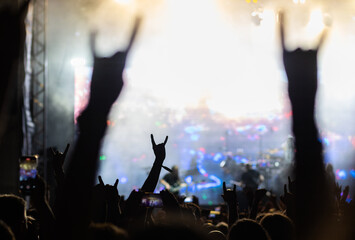 crowd having fun at concert summer music festival