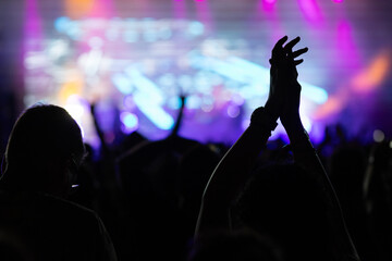 crowd having fun at concert summer music festival