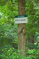 forêt domaniale de Sénart, 91, Essonne, France