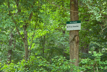 forêt domaniale de Sénart, 91, Essonne, France