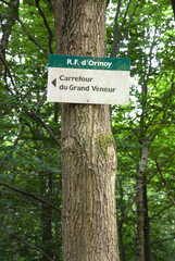 forêt domaniale de Sénart, 91, Essonne, France