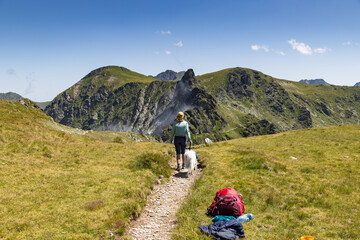 Fototapeta premium trekking with a dog in hogh mountains