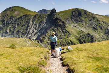 Obraz premium trekking with a dog in hogh mountains