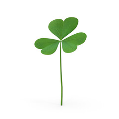 Three-Leaf Clover Isolated on Transparent Background
