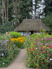 Obraz premium Stunning view of beautiful blooming botanical garden park Loki Schmidt with colorful flowers, trees and garden shop building on cloudy summer day