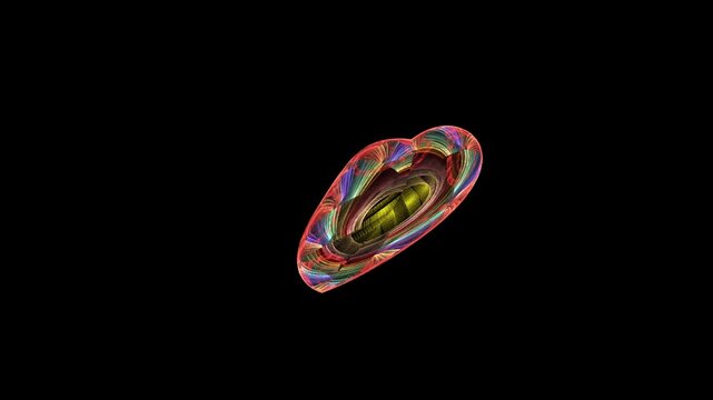 Sfondo nero con al centro un cuore digitale che dopo qualche secondo inizia a fluttuare nello schermo