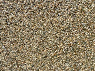 closeup of wet multicolor beach sand grains with natural sparkle for backgrounds or texture overlays in design projects

