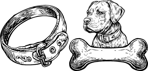 Vintage dog and bone set – hand drawn engraving for retro design