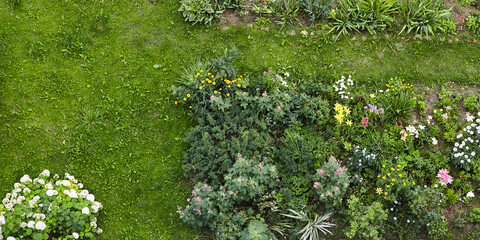 Lush green garden featuring a vibrant array of blooming flowers and plants, showcasing a harmonious...