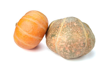 Two pumpkins, one orange and one greenish-brown, are placed side by side on a white background, showcasing their unique textures and shapes for seasonal decoration or culinary use