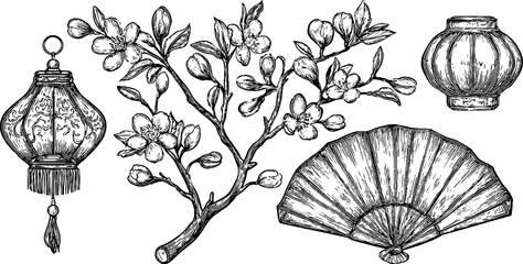 Engraved illustration set of tree branch with blossoms and traditional lanterns. Vintage sketch style.