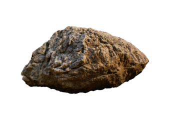 Heavy reef rock isolated on a transparent or white background