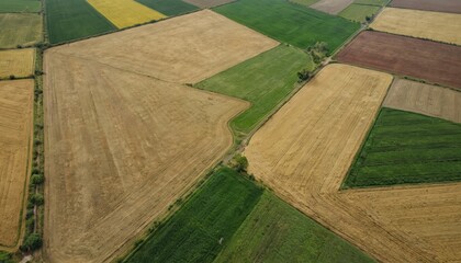 Obraz premium Aerial view of colorful agricultural fields forming geometric patterns. Various crops like green, yellow, brown land patches create natural patchwork quilt across countryside landscape. Drone