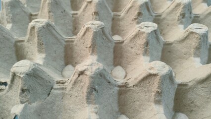 Cardboard Egg Tray Close-Up
