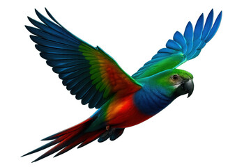 Majestic parrot with vibrant plumage soaring gracefully, isolated on a transparent background, perfect for creative projects