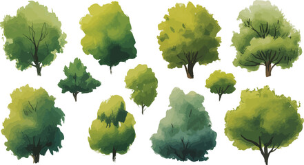 Watercolor illustration of stylized top-down views of trees arranged in two rows with varied green foliage on a white background

