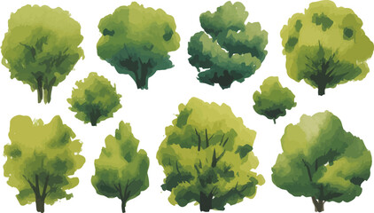 Watercolor illustration of stylized top-down views of trees arranged in two rows with varied green foliage on a white background

