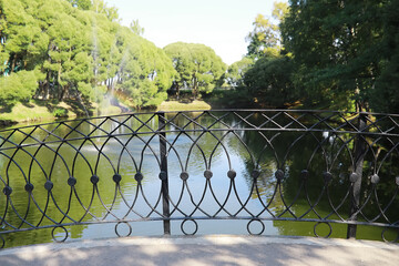 Tranquil Park Lake with Black Wrought Iron Fence and Lush Green Trees