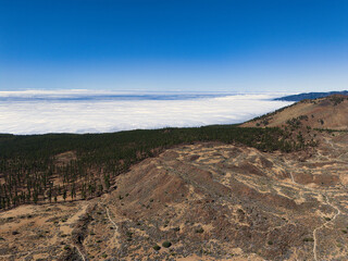 Mountains, hiking trails, trees, aerial view above the clouds