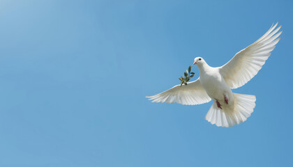 White dove with olive branch flies in clear blue sky. Bird symbol of peace, purity, freedom. Graceful flight, soft feathers, serene spirit. Hope, calm, gentle movement. Uplifting, optimistic,