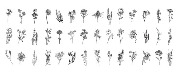 Meadow Flowers in Art Ink Style