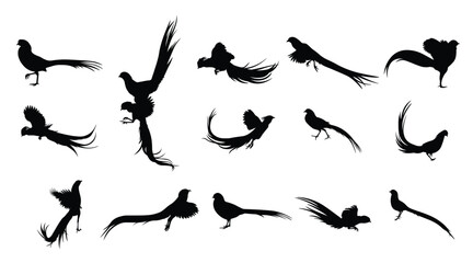 collection golden pheasant silhouettes illustration