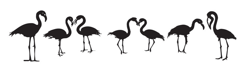  flamingo silhouette set in white background