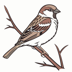 Sparrow perched on a branch, isolated on white background