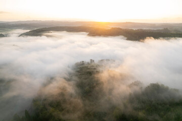 Drone Pan Over Trees and Fog at Golden Hour

