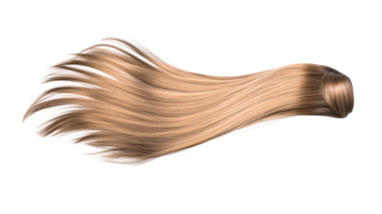 Long flowing hair strand with a smooth texture and gradient color