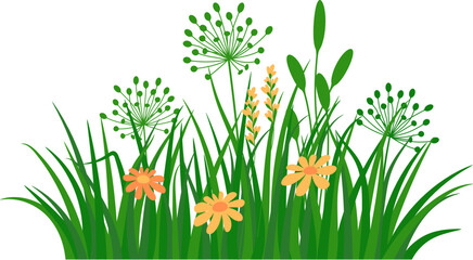 Vector of Green grass with yellow flowers. Grass Flowers and green grass border vector