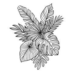 Design with linear palm leaves. Decorative image of tropical foliage and plants.