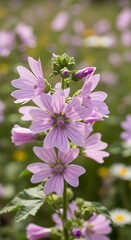 Fototapeta premium Close-up of a cluster of delicate, light purple flowers.