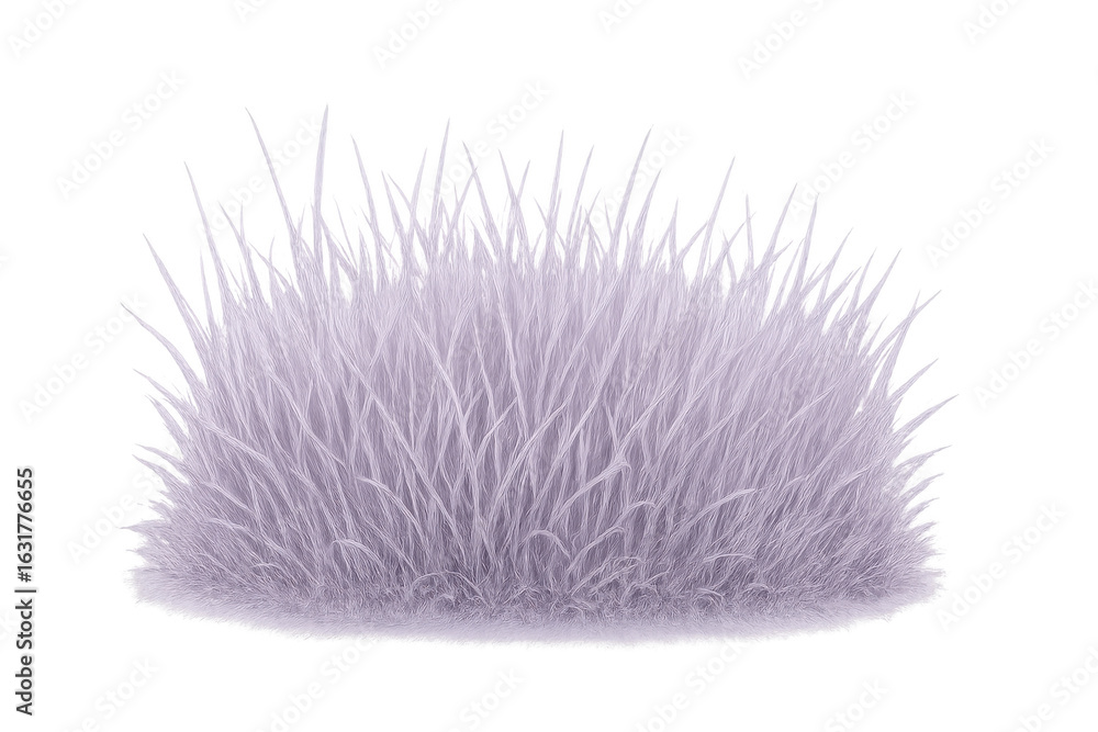 Poster violet grass cluster on transparent background, offering vivid visual element for digital design and