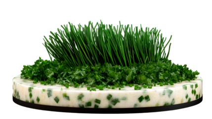 Herb filled cheese platter with chives and cilantro topping