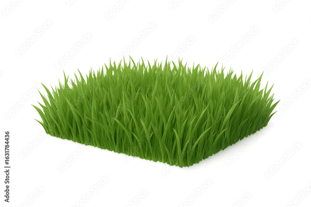 Poster verdant grass patch neatly trimmed, perfectly square-shaped, isolated on transparent background for 