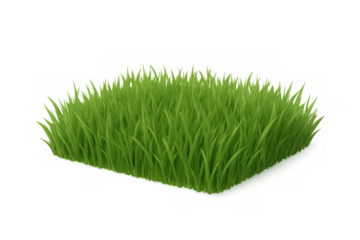 Verdant grass patch neatly trimmed, perfectly square-shaped, isolated on transparent background for seamless digital compositing