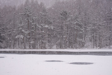 冬の静寂、氷に包まれた御射鹿池 / Silent Winter Serenity, Frozen Mishaka Pond