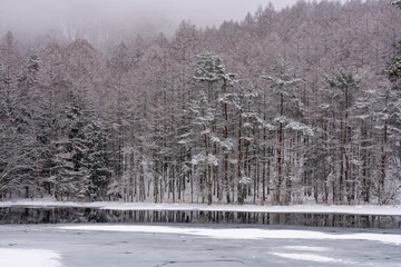 冬の静寂、氷に包まれた御射鹿池 / Silent Winter Serenity, Frozen Mishaka Pond