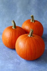 Obraz premium Three vibrant pumpkins bask in rustic splendor, heralding the whimsical celebrations of Samhain and harvest moon gatherings